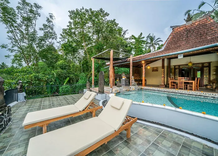 Yoga Maya Senet Payangan